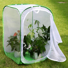 
                        
                          गैलरी व्यूवर में इमेज लोड करें, RESTCLOUD 24" Insect and Butterfly Habitat Monarch Butterfly Enclosure for Caterpillars Pop Up 24 Inches Tall Pack of 2 - JOY2ESpree
                        
                      