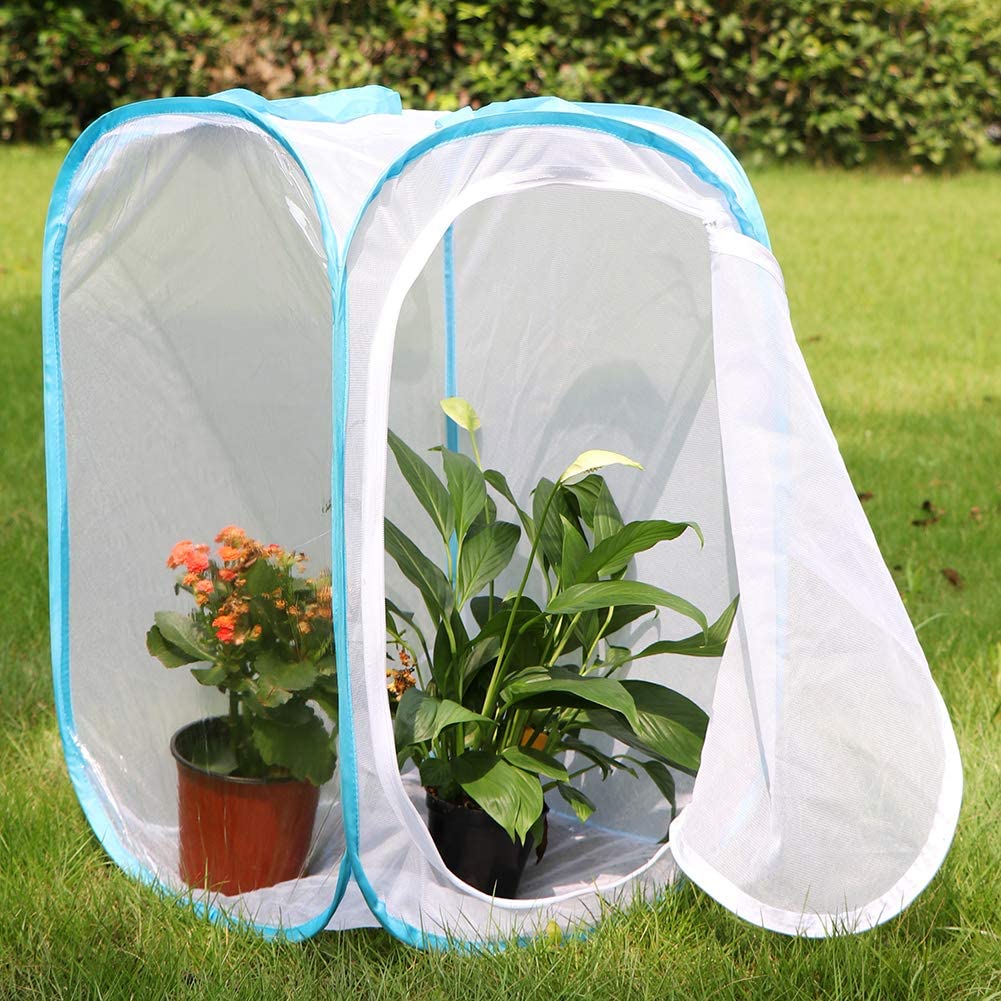 RESTCLOUD Insect and Butterfly Habitat Cage Terrarium Pop-up 23.6 Inches Tall - JOY2ESpree