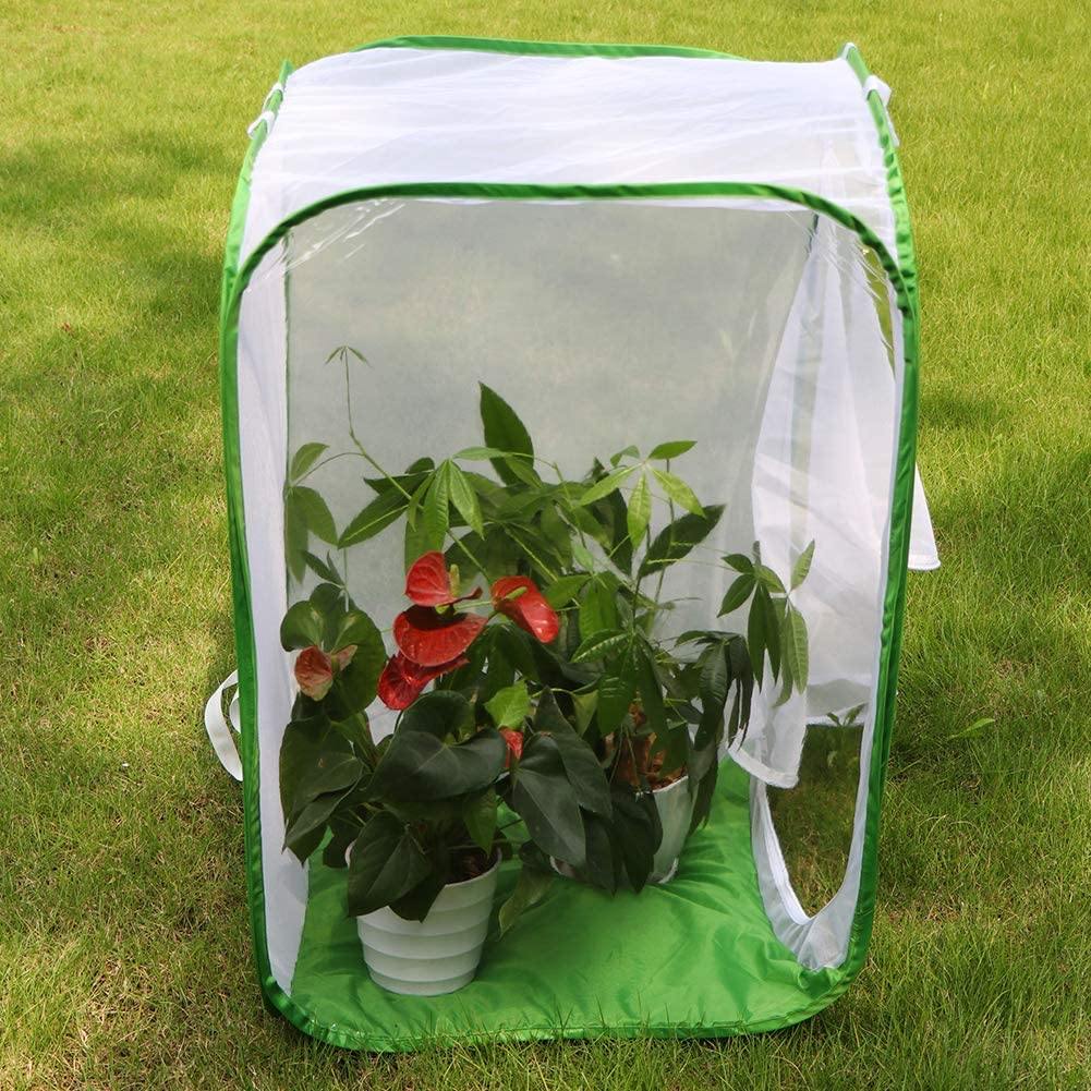 RESTCLOUD 36" Large Monarch Butterfly Habitat, Giant Collapsible Insect Mesh Cage Terrarium Pop-up 24 x 24 x 36 Inches - JOY2ESpree