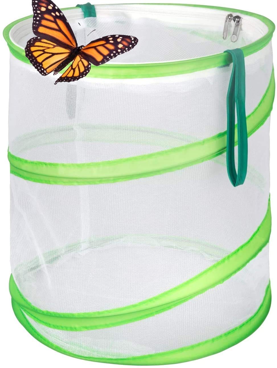 Chyl & Party Pop-up Collapsible Insect and Butterfly Habitat Cage Toy - JOY2ESpree
