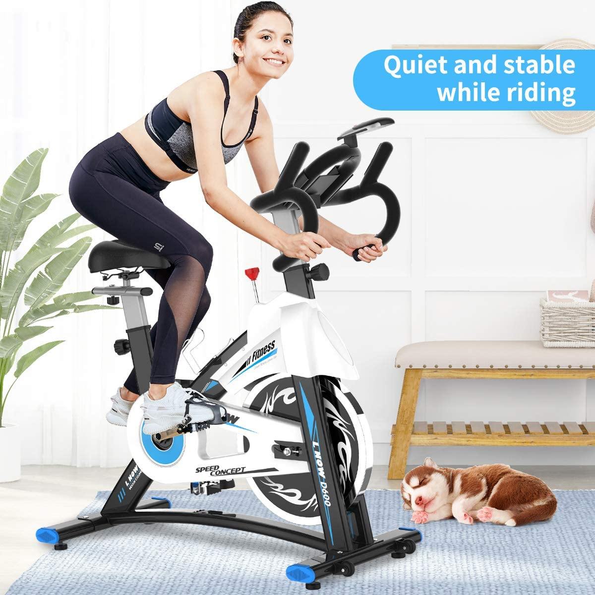 L NOW Indoor Exercise Bike Indoor Cycling Stationary Bike - JOY2ESpree
