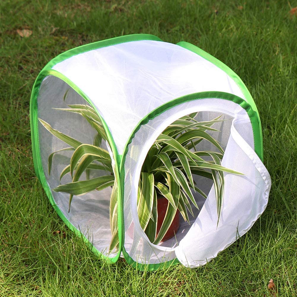 RESTCLOUD Insect and Butterfly Habitat Cage Terrarium Pop-up 23.6 Inches Tall - JOY2ESpree