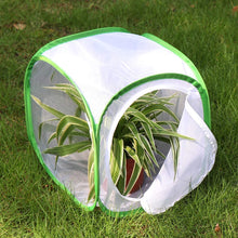 
                        
                          Muat gambar ke penampil Galeri, RESTCLOUD Insect and Butterfly Habitat Cage Terrarium Pop-up 23.6 Inches Tall - JOY2ESpree
                        
                      