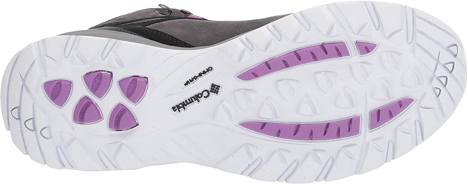 Columbia Women's Newton Ridge Plus Waterproof Amped Hiking Shoe