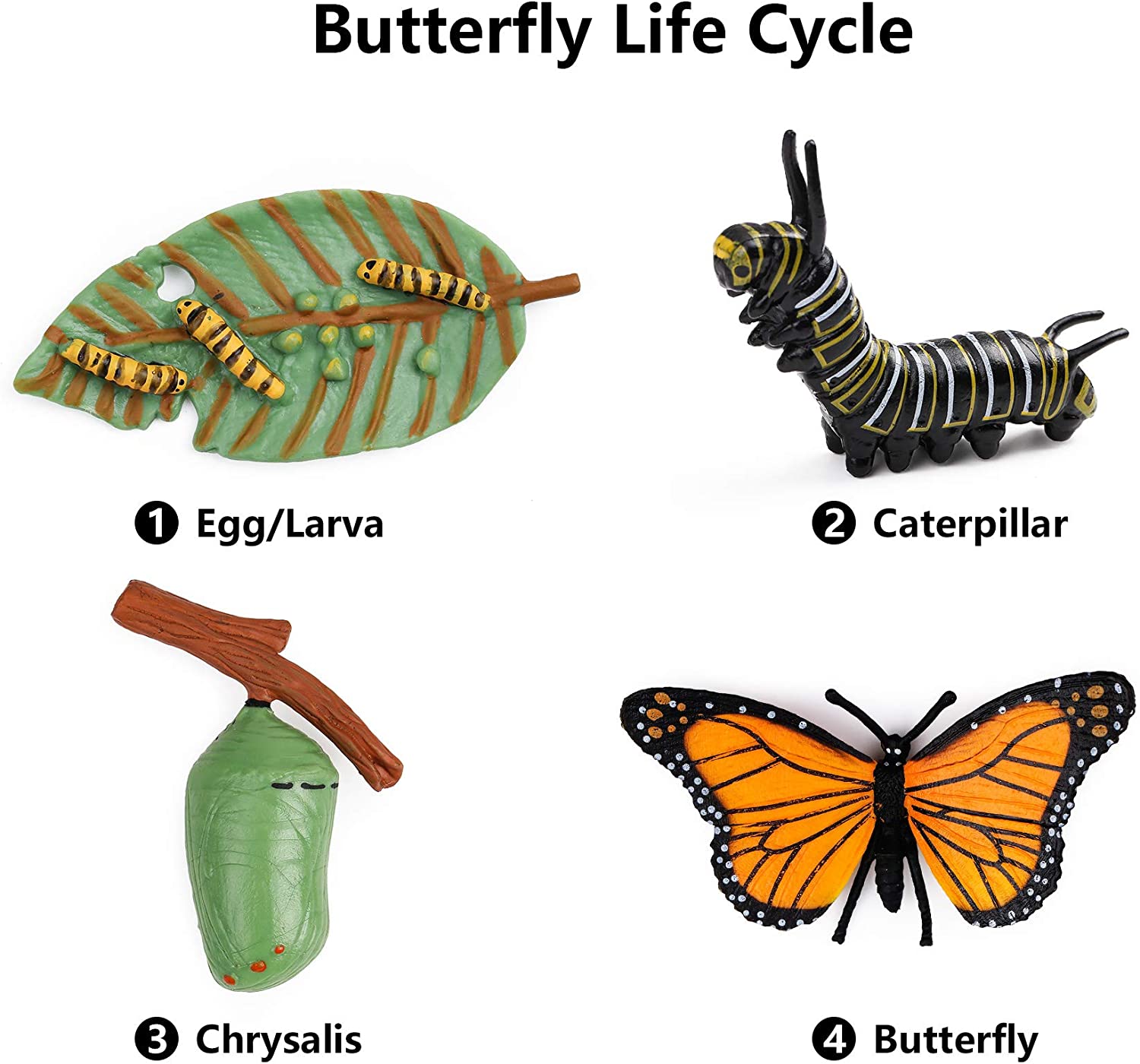 UANDME 4pcs Butterfly Life Cycle Kit Lifestyle Stages of Monarch Butterfly Teaching Tools for Kids, Students - JOY2ESpree