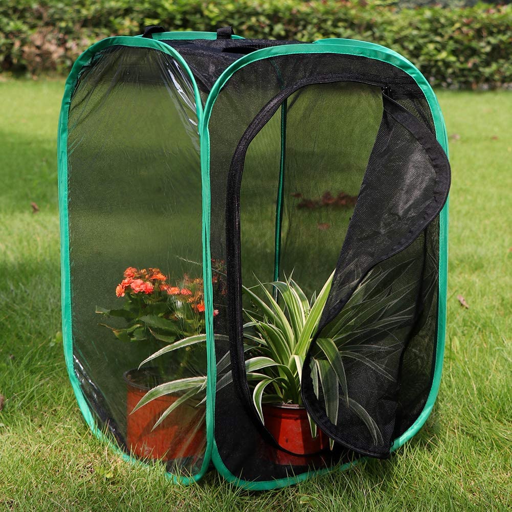 RESTCLOUD Insect and Butterfly Habitat Cage Terrarium Pop-up 23.6 Inches Tall - JOY2ESpree