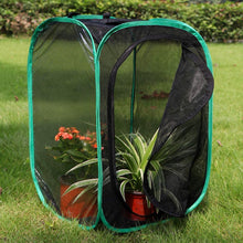 
                        
                          Muat gambar ke penampil Galeri, RESTCLOUD Insect and Butterfly Habitat Cage Terrarium Pop-up 23.6 Inches Tall - JOY2ESpree
                        
                      