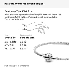 
                        
                          Muat gambar ke penampil Galeri, Pandora Jewelry Moments Mesh Charm Sterling Silver Bracelet - JOY2ESpree
                        
                      
