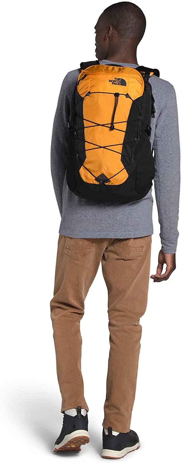 The North Face Borealis Backpack