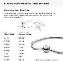 
                        
                          Muat gambar ke penampil Galeri, PANDORA Jewelry Smooth Moments Snake Chain Charm Sterling Silver Bracelet - JOY2ESpree
                        
                      