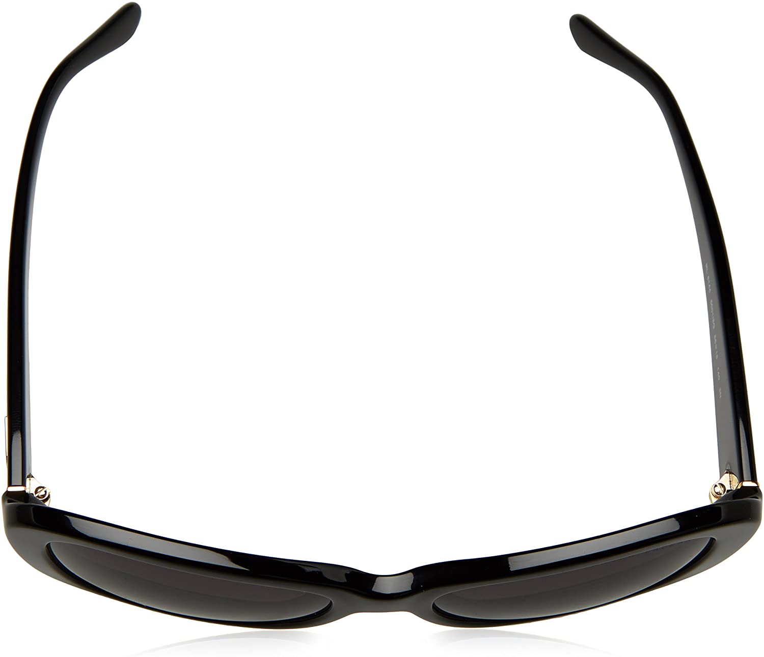 Ralph Lauren Women's Rl8144 Rectangular Sunglasses