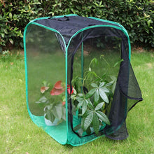 
                        
                          गैलरी व्यूवर में इमेज लोड करें, RESTCLOUD 36" Large Monarch Butterfly Habitat, Giant Collapsible Insect Mesh Cage Terrarium Pop-up 24 x 24 x 36 Inches - JOY2ESpree
                        
                      