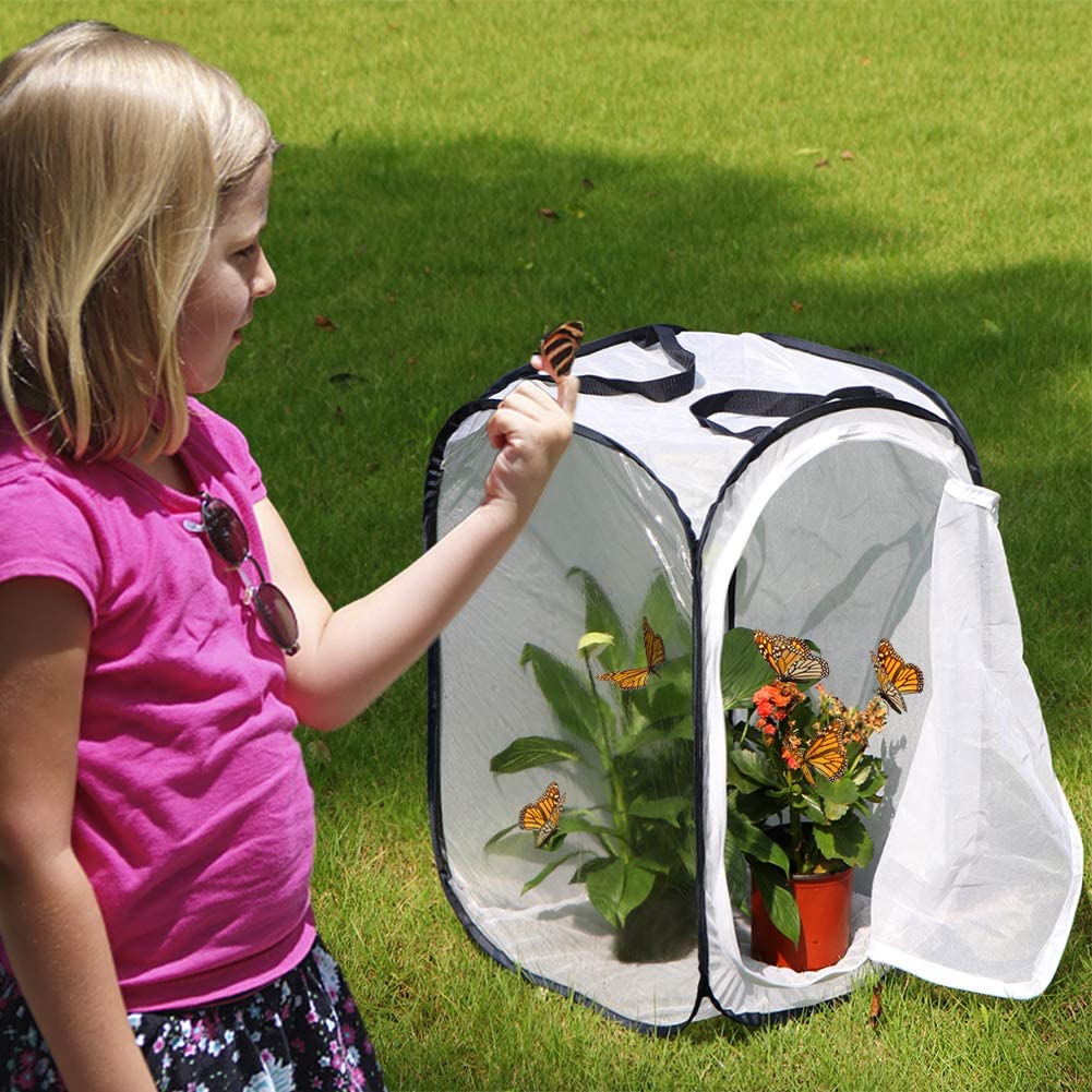 RESTCLOUD Insect and Butterfly Habitat Cage Terrarium Pop-up 23.6 Inches Tall - JOY2ESpree