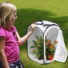 
                        
                          Muat gambar ke penampil Galeri, RESTCLOUD Insect and Butterfly Habitat Cage Terrarium Pop-up 23.6 Inches Tall - JOY2ESpree
                        
                      