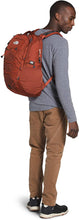 
                        
                          Load image into Gallery viewer, The North Face Borealis Backpack
                        
                      