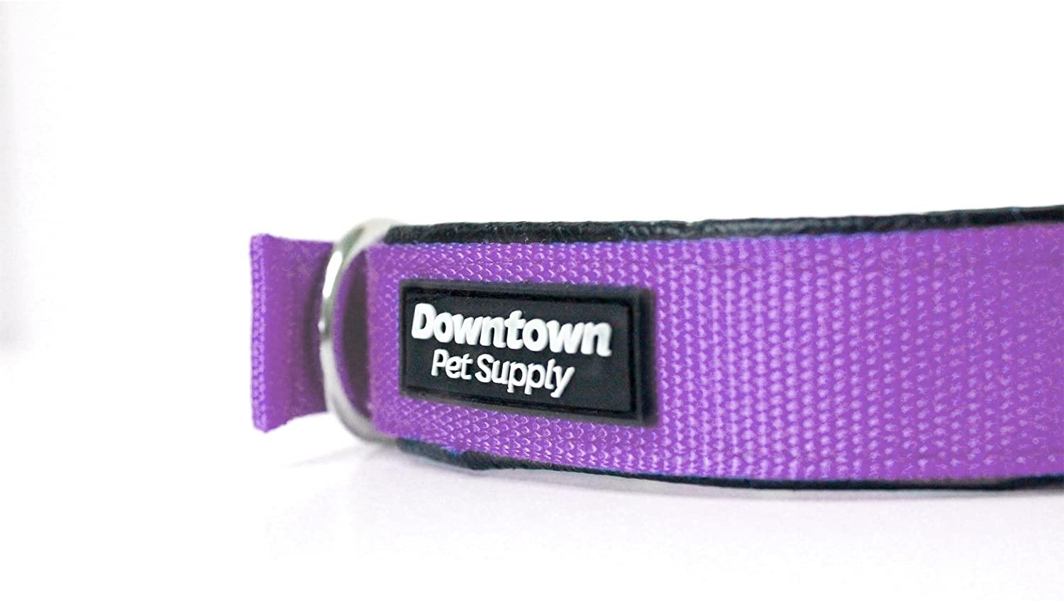 Downtown Pet Supply Deluxe Adjustable Thick Dog Collar, (Purple, XLarge)