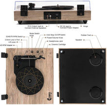 
                        
                          Muat gambar ke penampil Galeri, Retro Record Player for 33/45/78 RPM Vinyl Records,Bluetooth Belt-Drive Turntable - JOY2ESpree
                        
                      
