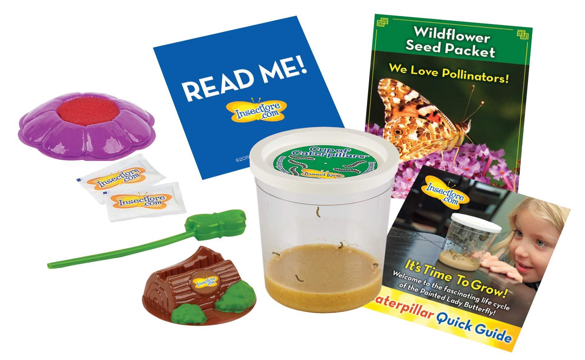 Insect Lore Live Cup of Caterpillars Deluxe - JOY2ESpree