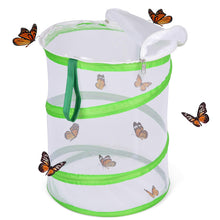 
                        
                          Cargar imagen en el visor de la galería, FUN LITTLE TOYS Butterfly Cage Set Butterfly Habitat Butterfly Garden Kit Butterfly Garden Butterfly Farm Without Butterfly - JOY2ESpree
                        
                      