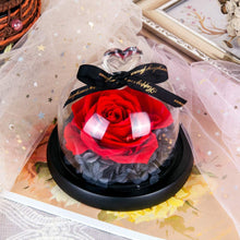 
                        
                          Cargar imagen en el visor de la galería, Eternal Rose- Preserved Flower Rose Handmade Fresh Flower Rose
                        
                      