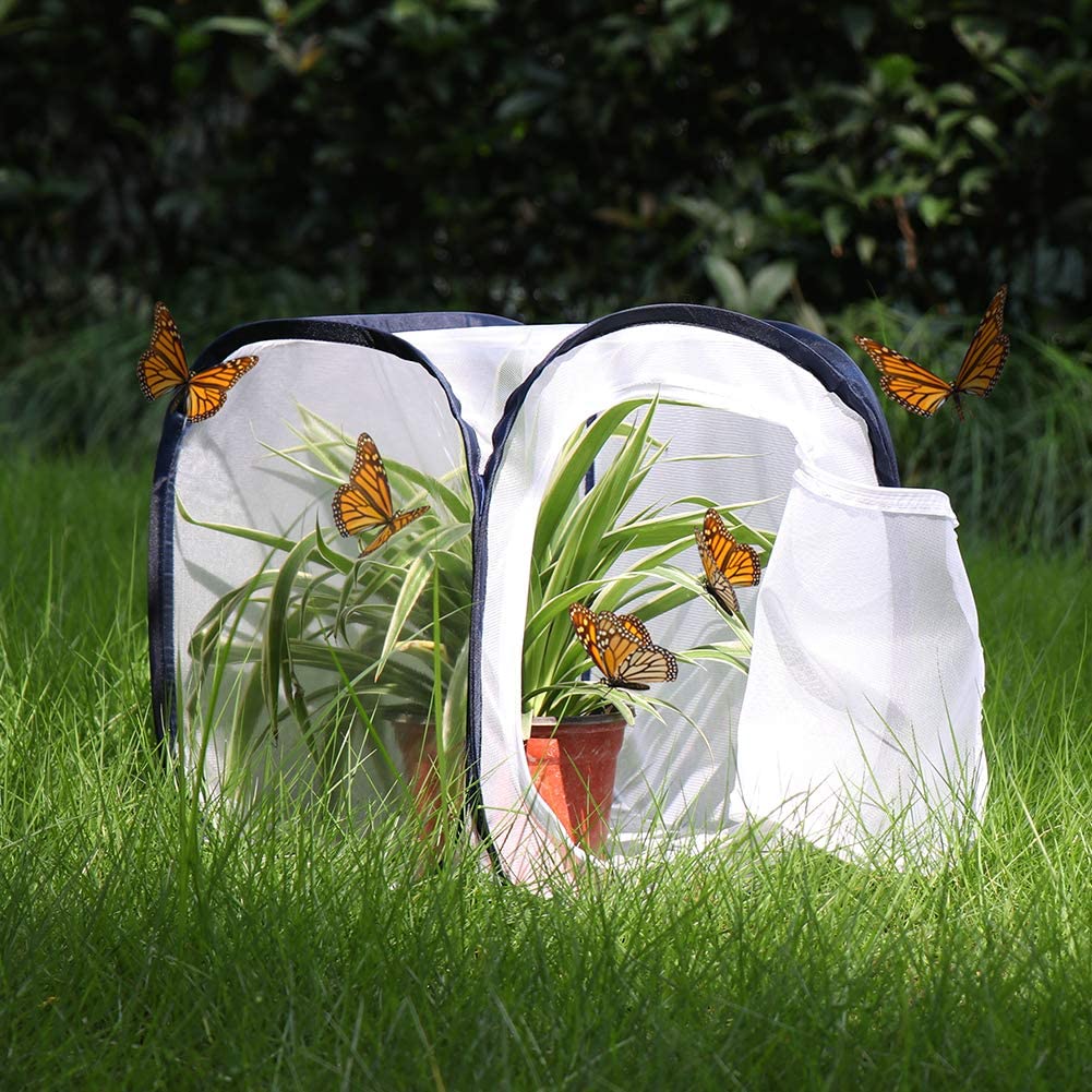 RESTCLOUD Insect and Butterfly Habitat Cage Terrarium Pop-up 23.6 Inches Tall - JOY2ESpree