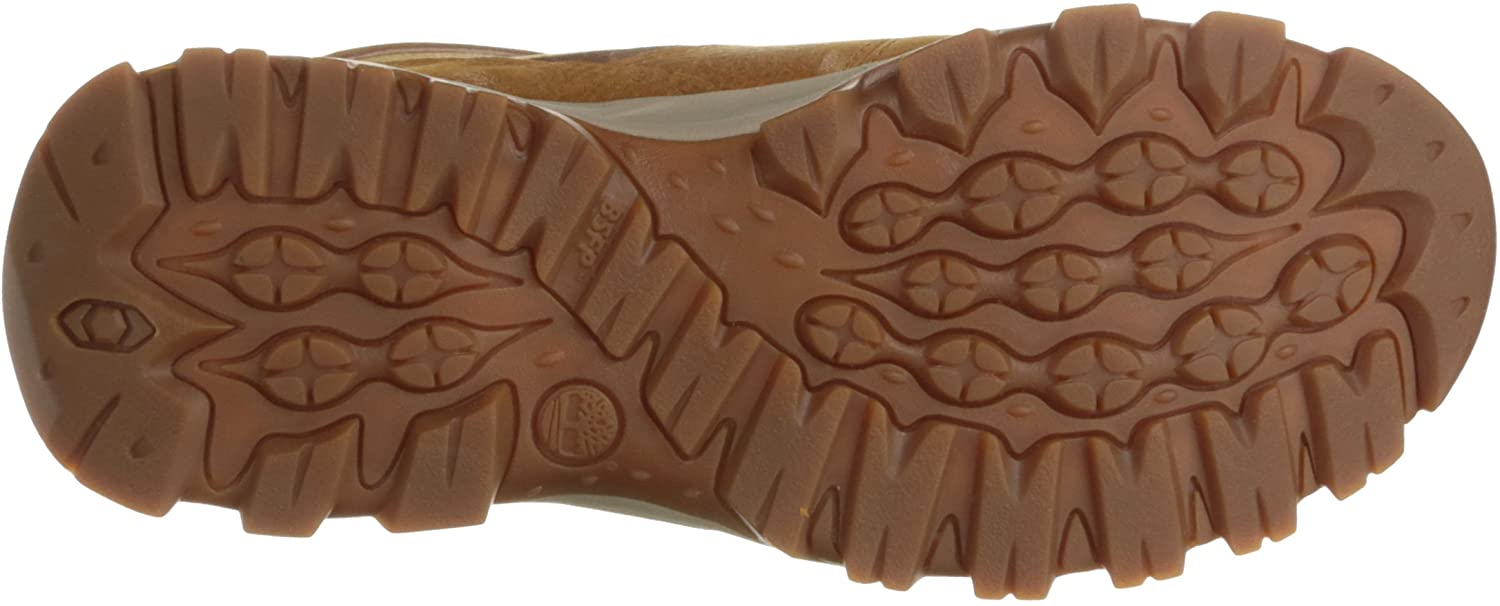 Timberland Men's Mt. Maddsen Mid Leather Wp Hiking Boot