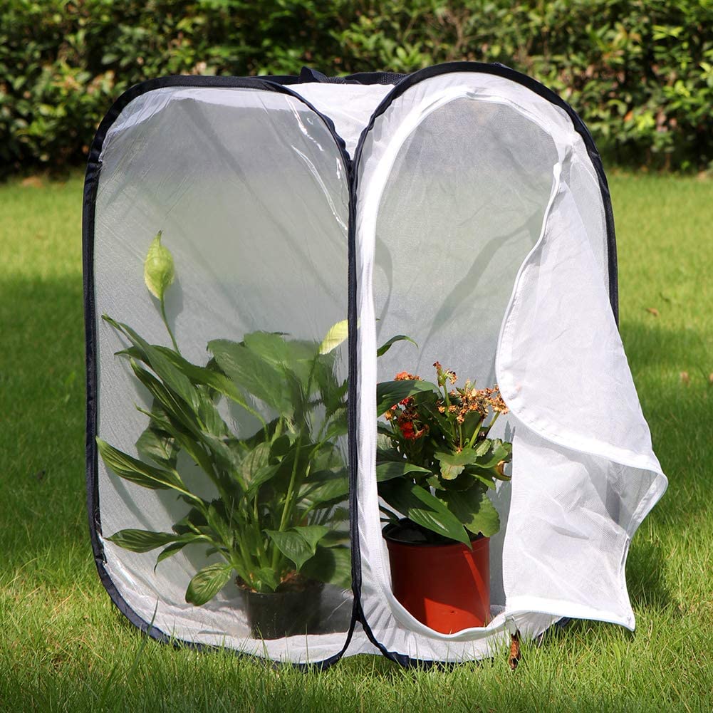 RESTCLOUD Insect and Butterfly Habitat Cage Terrarium Pop-up 23.6 Inches Tall - JOY2ESpree