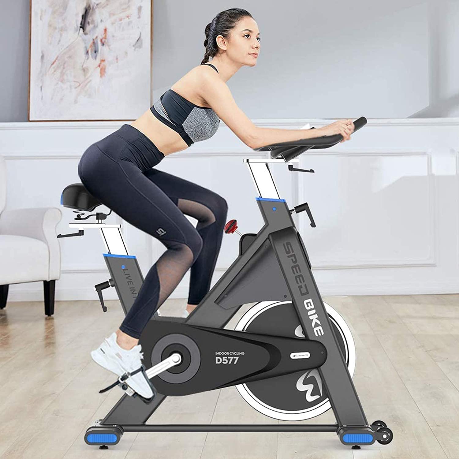 pooboo Professional Commercial Exercise Bikes D577, Heavy-Duty Belt Drive Indoor Cycling Bike - JOY2ESpree