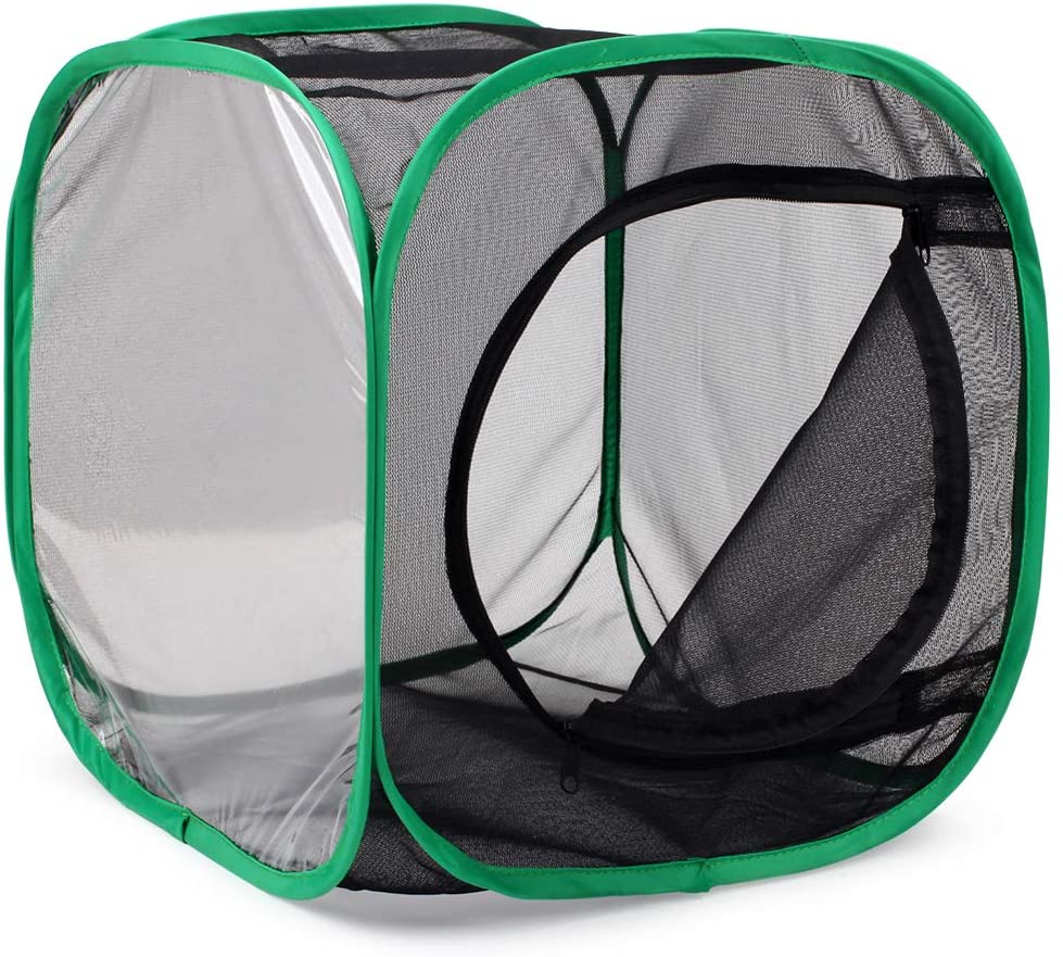 RESTCLOUD Insect and Butterfly Habitat Cage Terrarium Pop-up 23.6 Inches Tall - JOY2ESpree