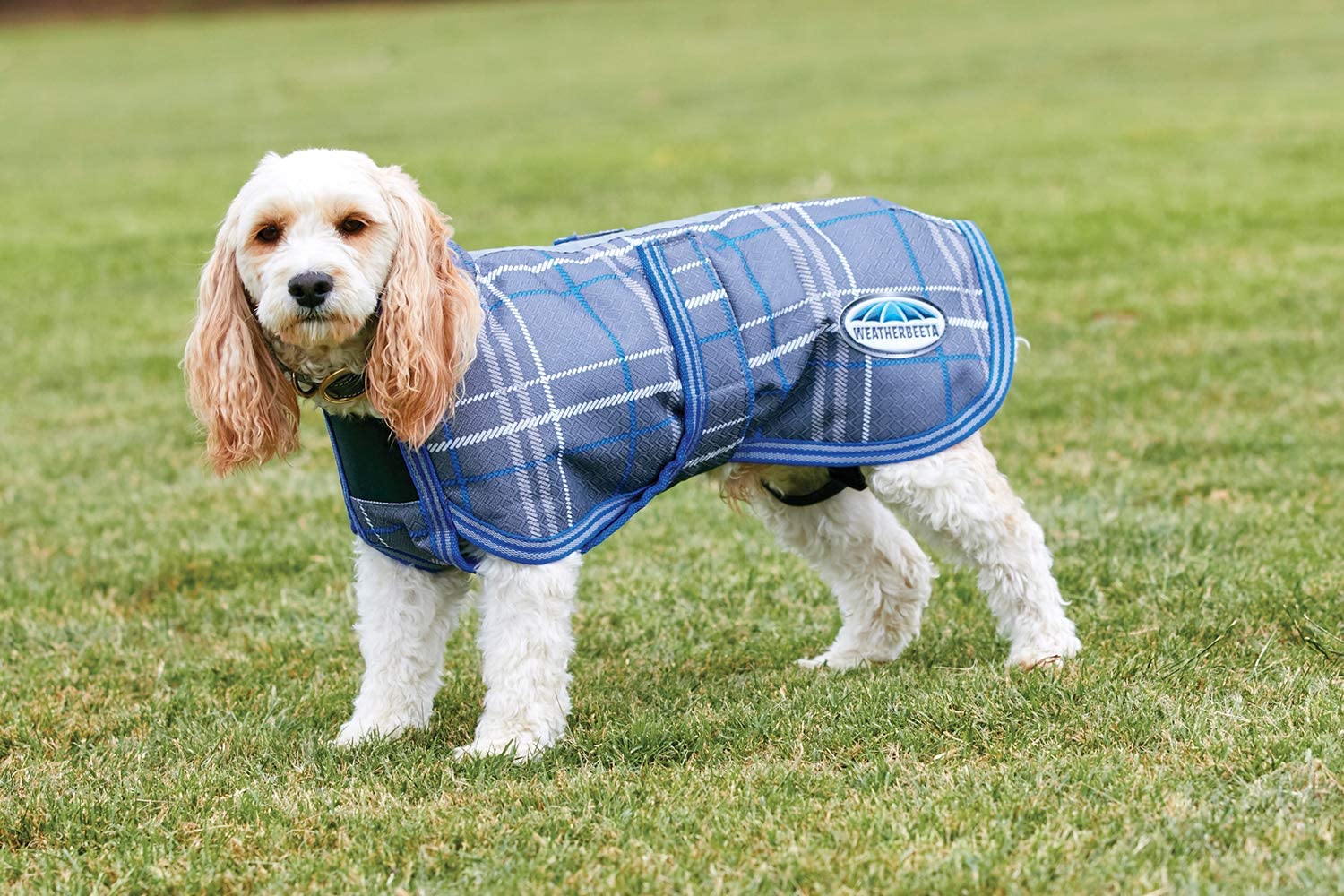 Weatherbeeta Parka 1200D Deluxe Dog Coat (20", Navy/Grey/White)