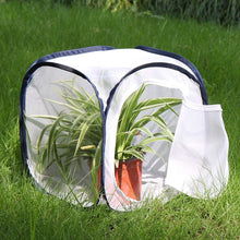 
                        
                          Muat gambar ke penampil Galeri, RESTCLOUD Insect and Butterfly Habitat Cage Terrarium Pop-up 23.6 Inches Tall - JOY2ESpree
                        
                      