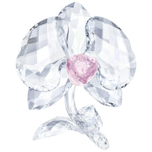 
                        
                          Load image into Gallery viewer, Swarovski Crystal"Orchid Flower" Figurine New 2018 - JOY2ESpree
                        
                      