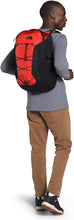 
                        
                          Load image into Gallery viewer, The North Face Borealis Backpack
                        
                      