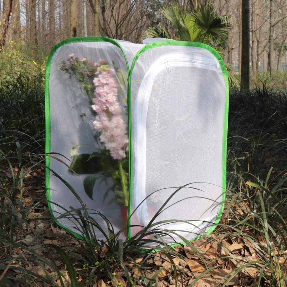 RESTCLOUD Insect and Butterfly Habitat Cage Terrarium Pop-up 24 Inches Tall with Zipper Protection - JOY2ESpree
