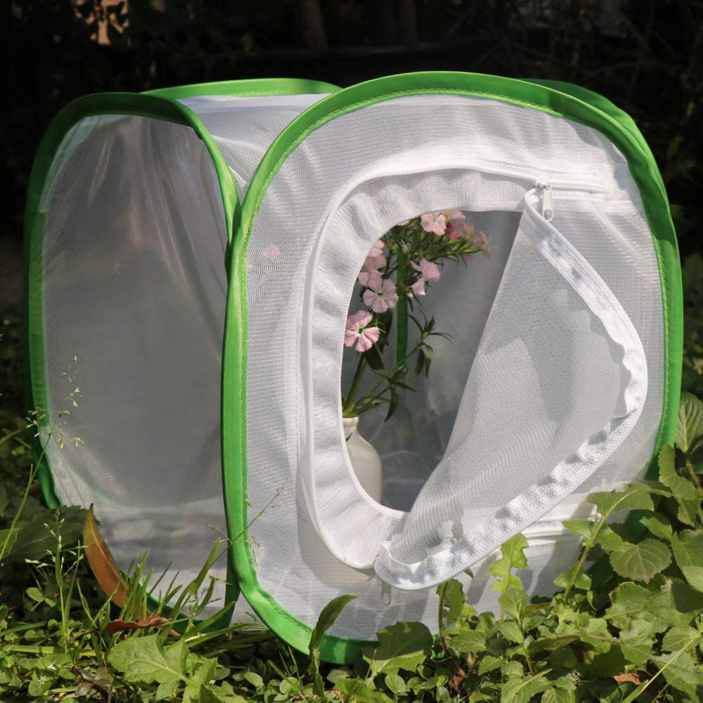 RESTCLOUD Insect and Butterfly Habitat Cage Terrarium Pop-up 24 Inches Tall with Zipper Protection - JOY2ESpree