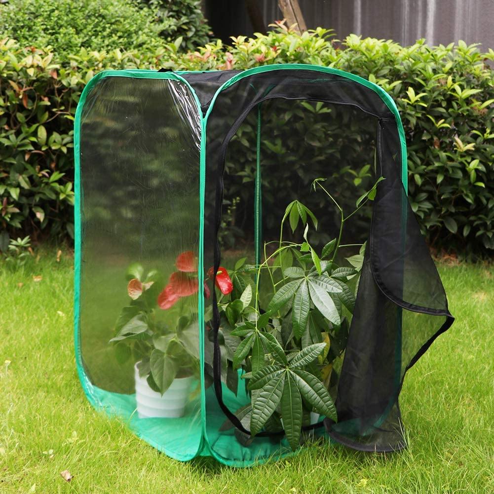 RESTCLOUD 36" Large Monarch Butterfly Habitat, Giant Collapsible Insect Mesh Cage Terrarium Pop-up 24 x 24 x 36 Inches - JOY2ESpree