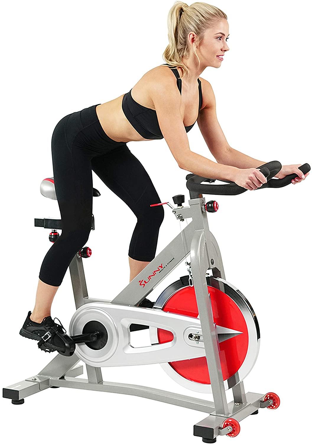 Sunny Health & Fitness Indoor Cycling Exercise Bike with 40 LB Flywheel and Dual Felt Resistance - Pro / Pro II - JOY2ESpree