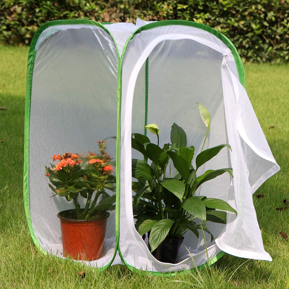 RESTCLOUD Insect and Butterfly Habitat Cage Terrarium Pop-up 23.6 Inches Tall - JOY2ESpree