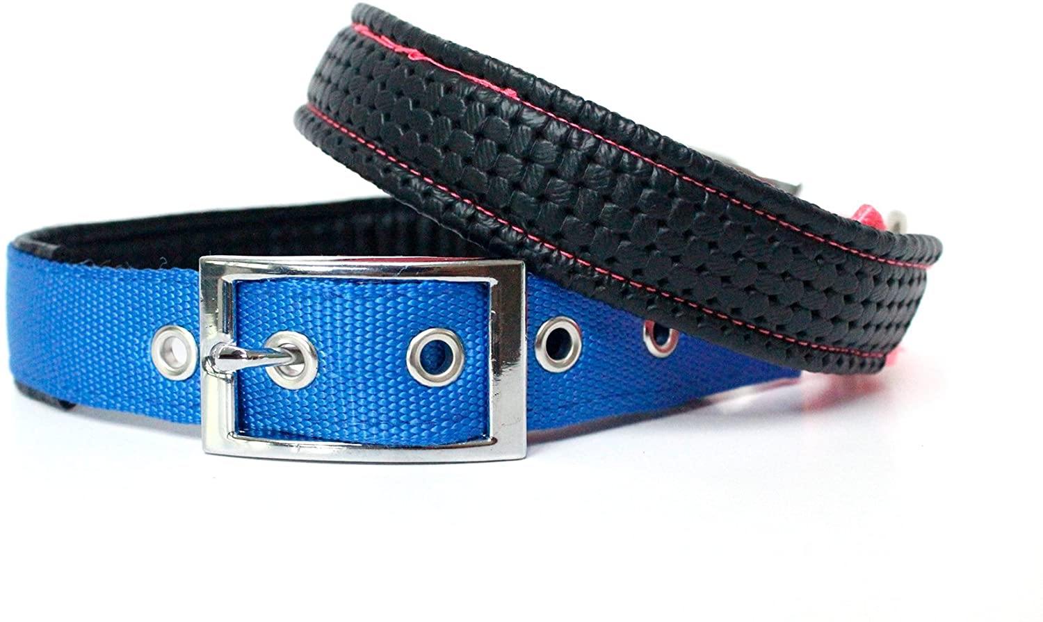 Downtown Pet Supply Deluxe Adjustable Thick Dog Collar, (Purple, XLarge)
