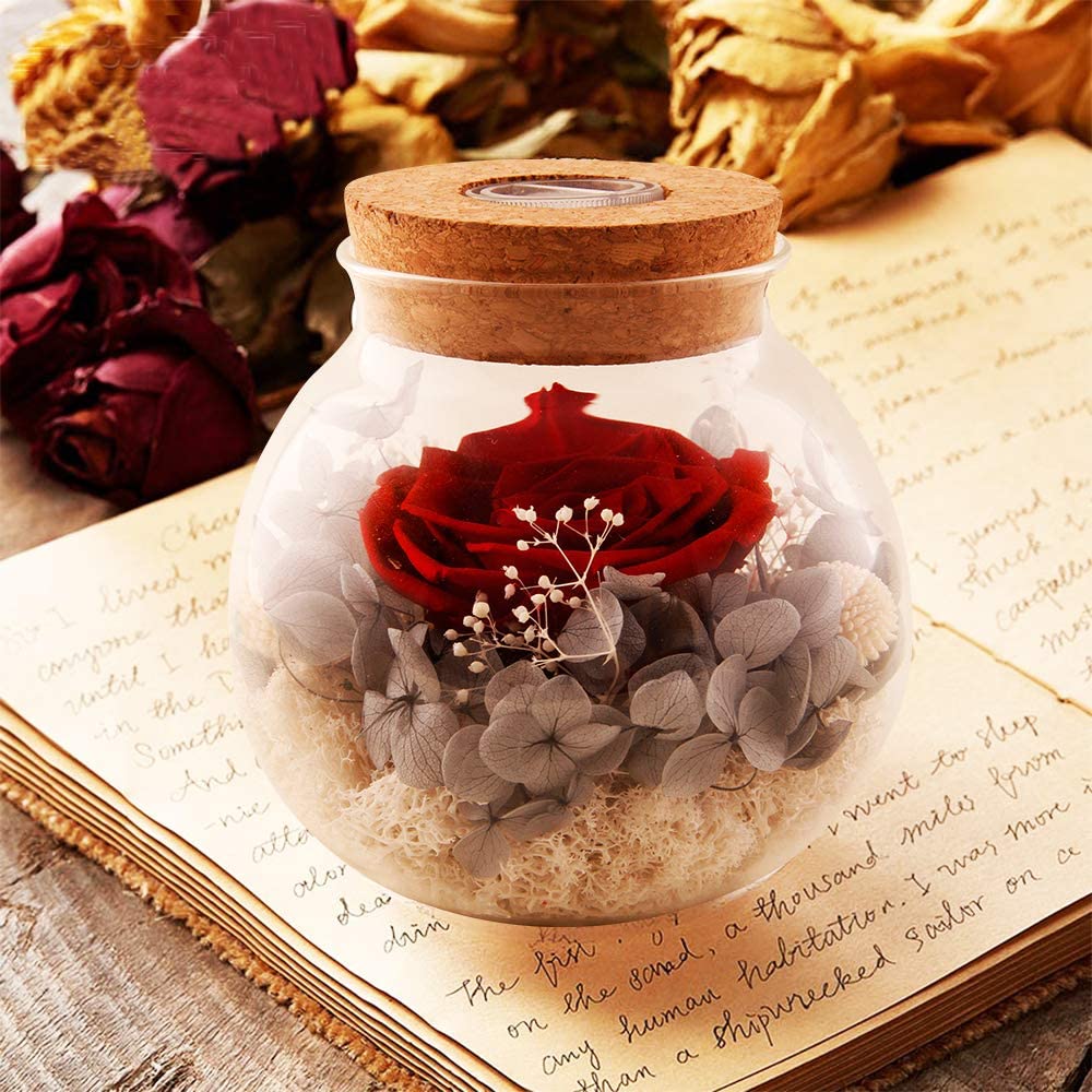 Forever Red Rose, Preserved Eternal Real Flower Present Gorgeous Led Mood Light