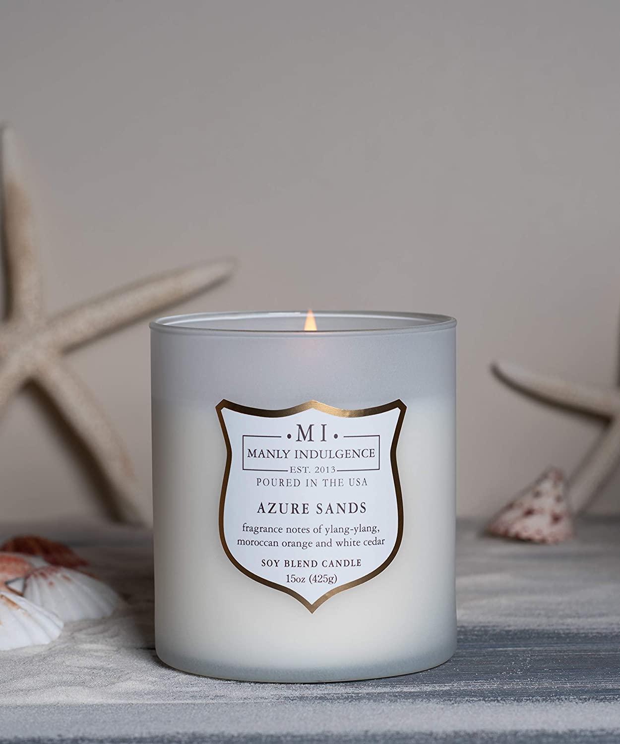 Manly Indulgence Sea Salt & Ginger Scented Jar Candle, 15 Oz, White