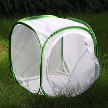 
                        
                          Muat gambar ke penampil Galeri, RESTCLOUD Insect and Butterfly Habitat Cage Terrarium Pop-up 23.6 Inches Tall - JOY2ESpree
                        
                      