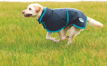 
                        
                          Load image into Gallery viewer, Weatherbeeta Parka 1200D Deluxe Dog Coat (20", Navy/Grey/White)
                        
                      