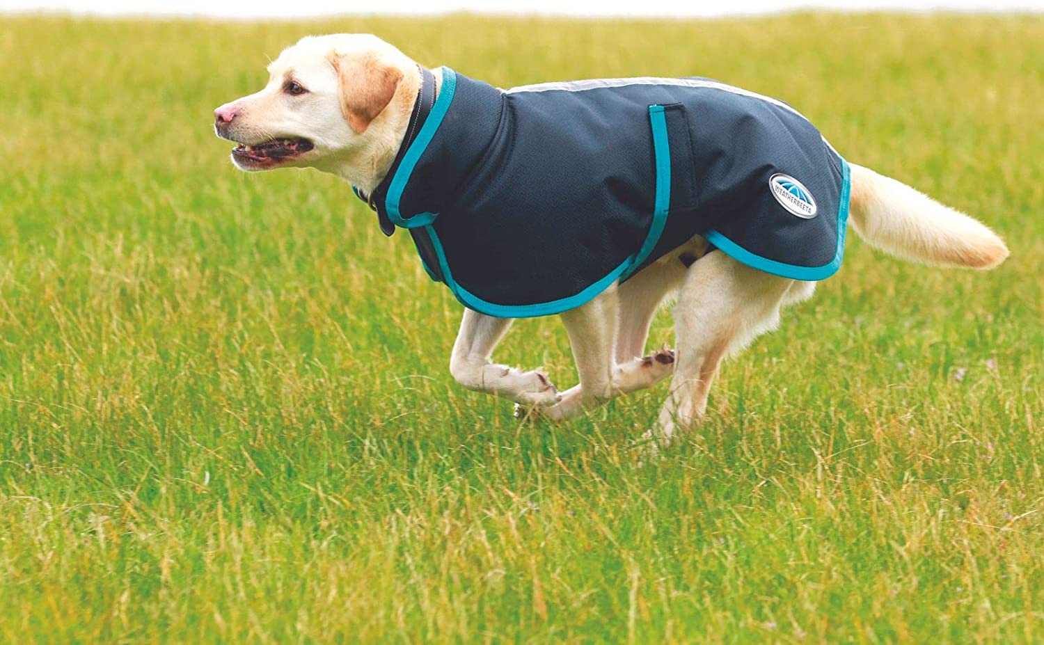 Weatherbeeta Parka 1200D Deluxe Dog Coat (20", Navy/Grey/White)