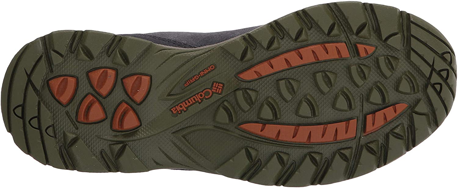 Columbia Women's Newton Ridge Plus Waterproof Amped Hiking Shoe