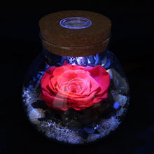 
                        
                          將圖片載入圖庫檢視器 Forever Red Rose, Preserved Eternal Real Flower Present Gorgeous Led Mood Light
                        
                      