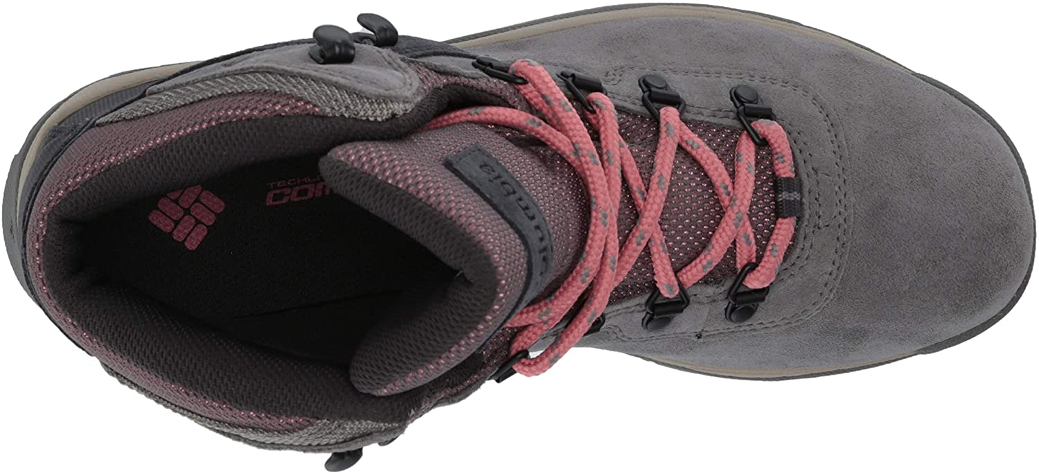 Columbia Women's Newton Ridge Plus Waterproof Amped Hiking Shoe