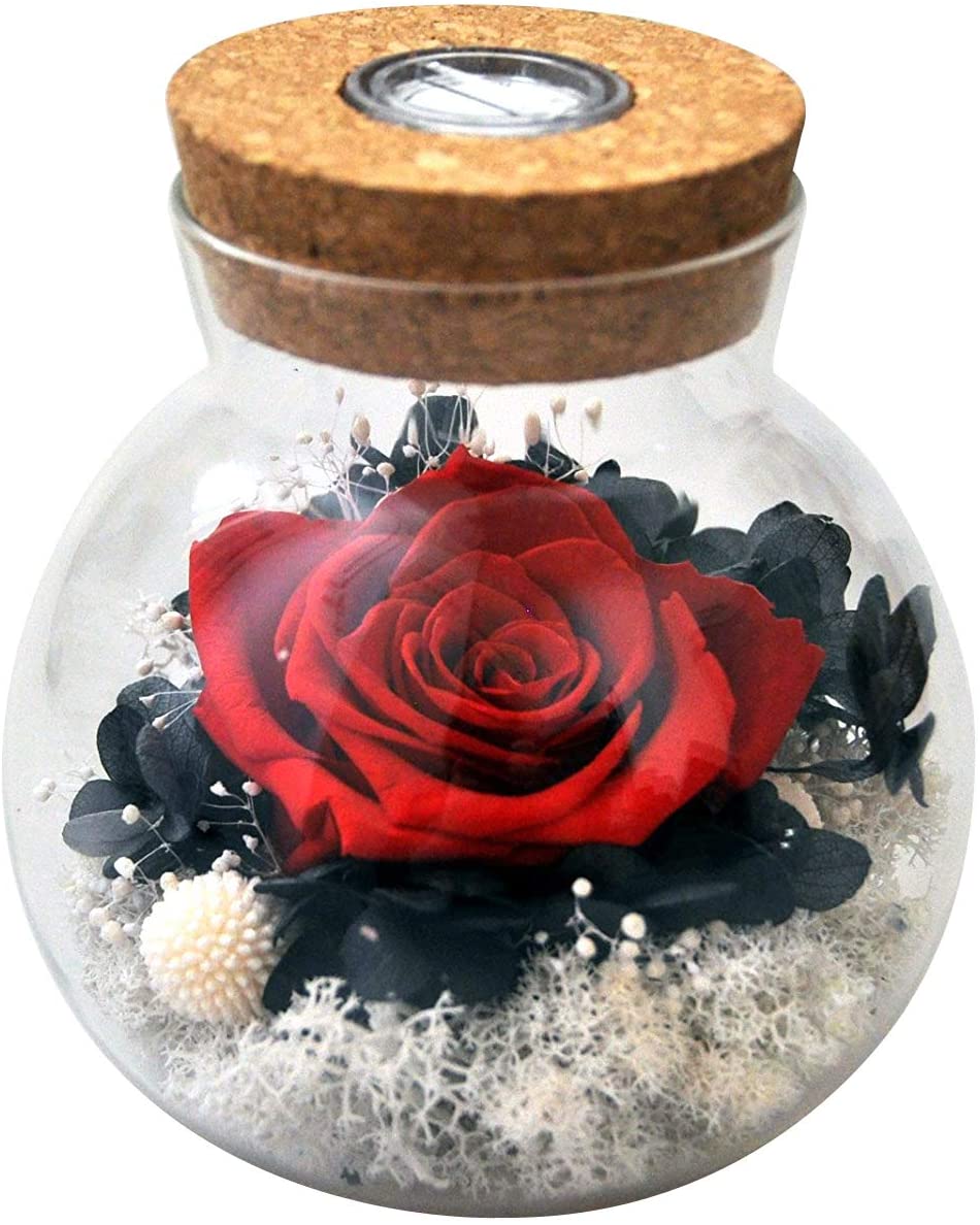Forever Red Rose, Preserved Eternal Real Flower Present Gorgeous Led Mood Light