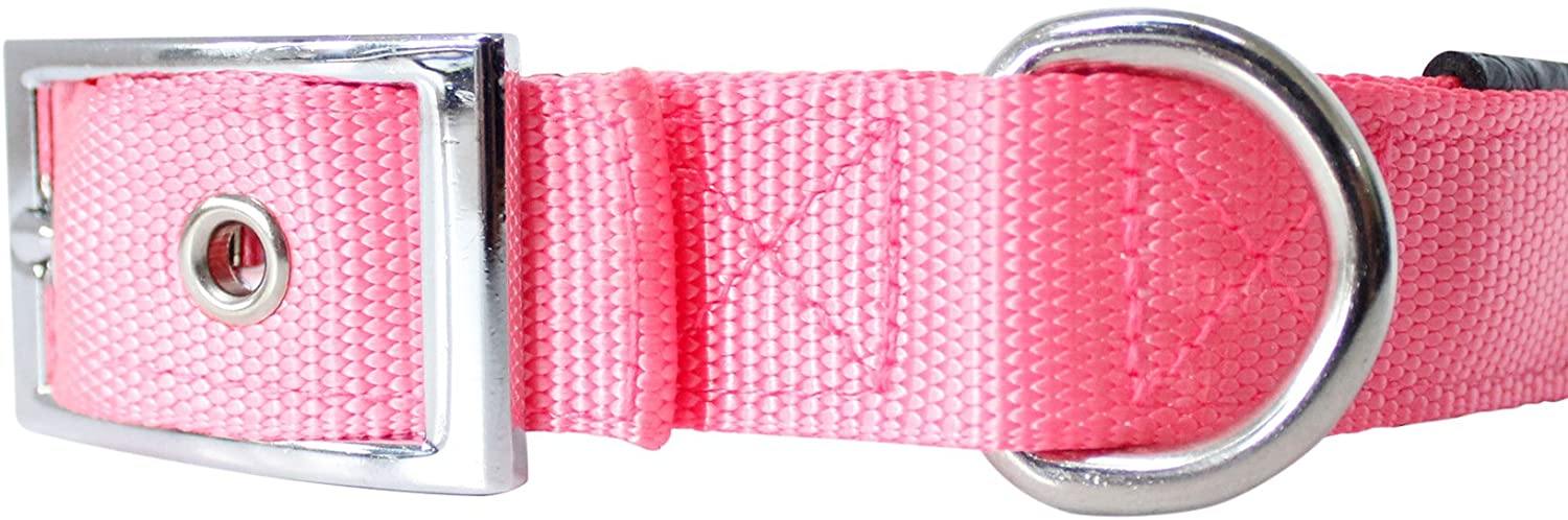 Downtown Pet Supply Deluxe Adjustable Thick Dog Collar, (Purple, XLarge)