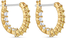 
                        
                          画像をギャラリービューアに読み込む, SWAROVSKI Women's Vittore Earring Jewelry Collection, Gold Tone Crystals, Clear Crystals - JOY2ESpree
                        
                      